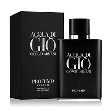 Giorgio Armani Acqua di Giò Profumo Eau de Parfum (EDP) 100ml